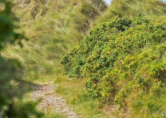 Fan060-fano-helmvej-10 Fanø